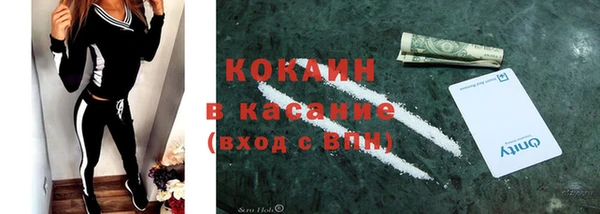 крисы Осинники