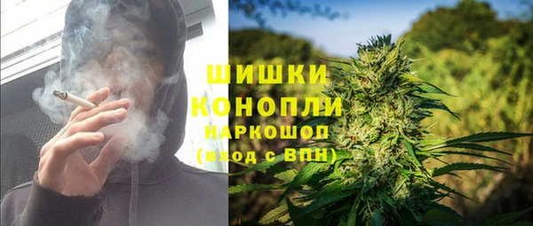 стаф Абаза