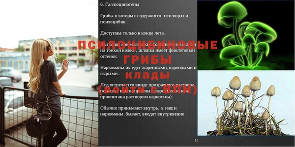крисы Абинск