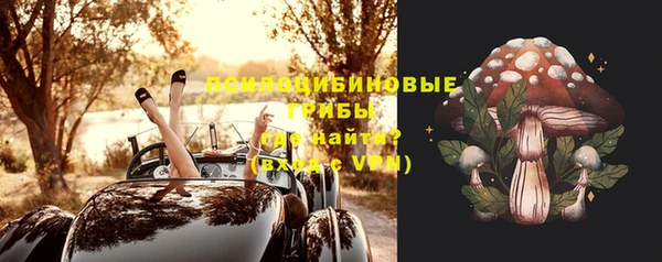 крисы Осинники