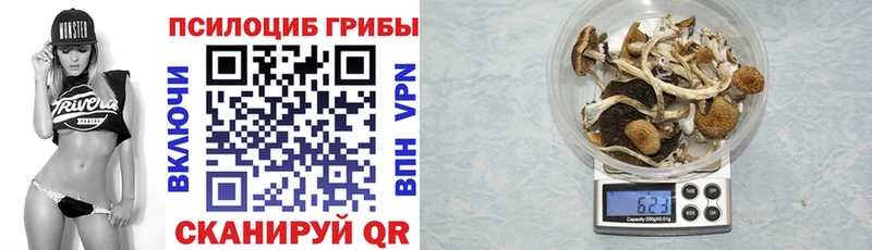 Галлюциногенные грибы Magic Shrooms  где купить наркотик  Галич 
